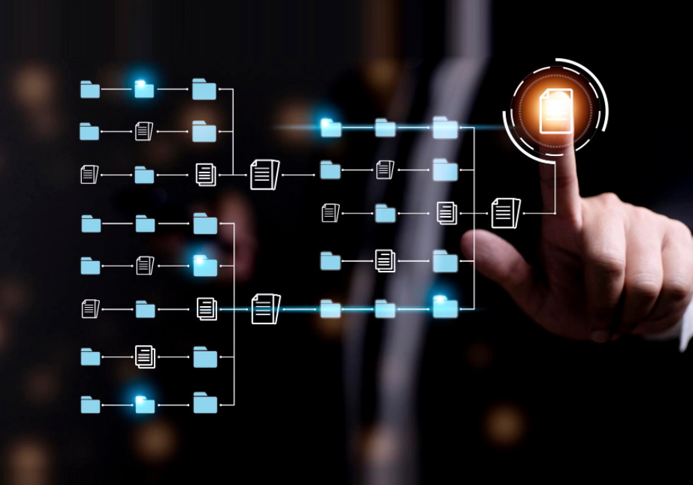 Organização de dados, de documentos e e-mails (ed2)