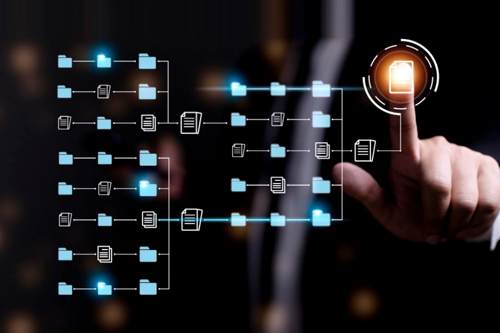 Organização de dados, de documentos e e-mails (ed2)